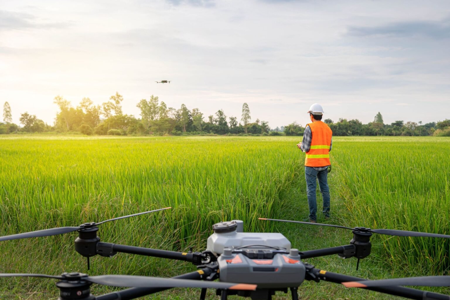 Field operator managing agricultural drone activity.