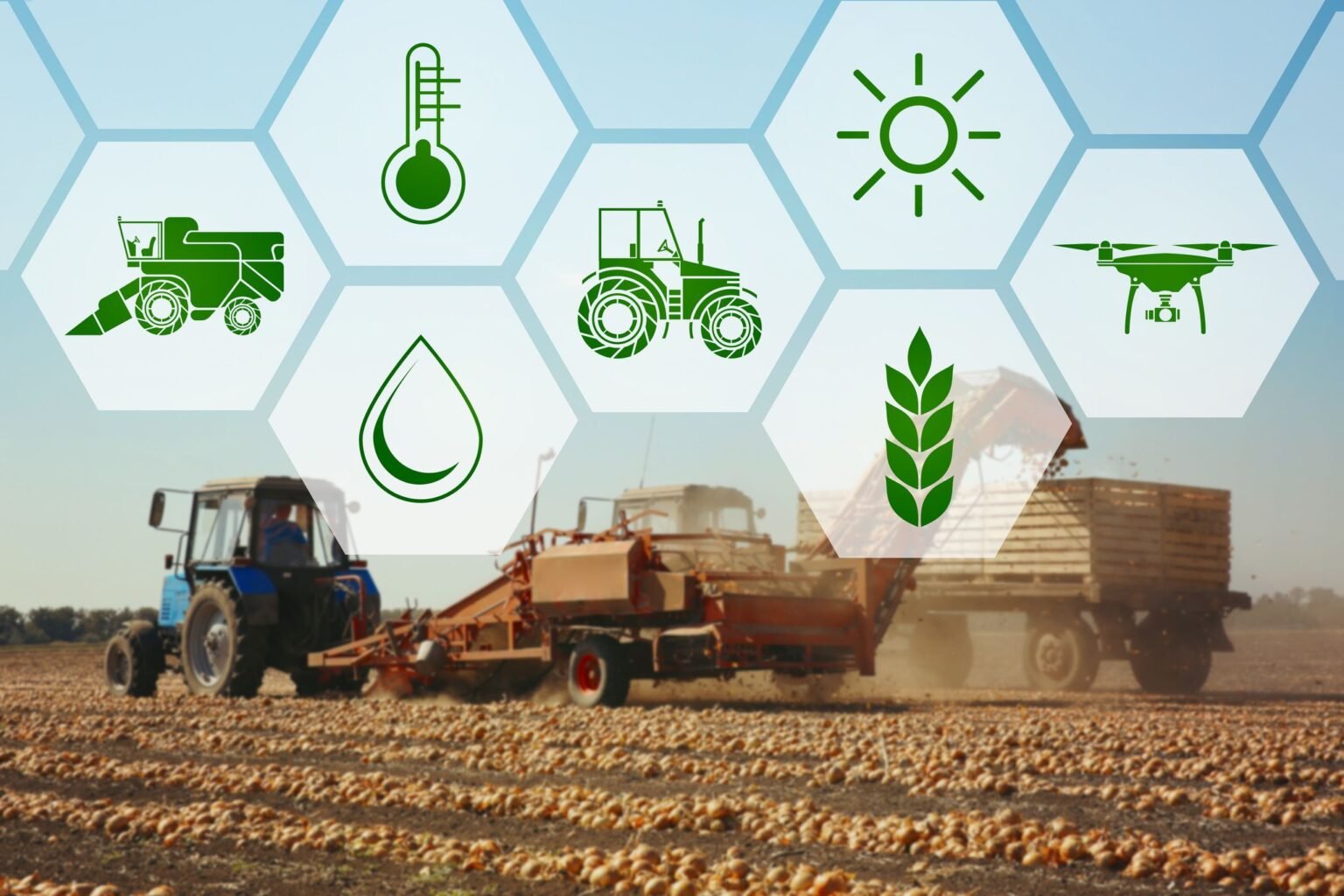 Harvest operations across large agricultural acreage.